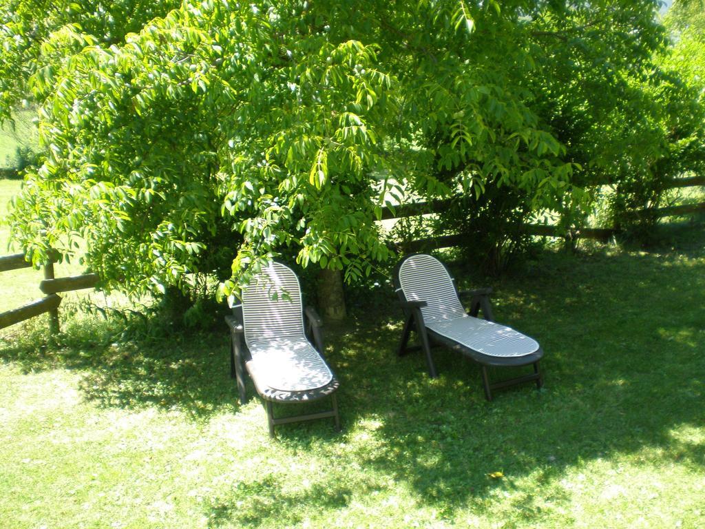 Hotel Vina Olivan Sarvisé Buitenkant foto